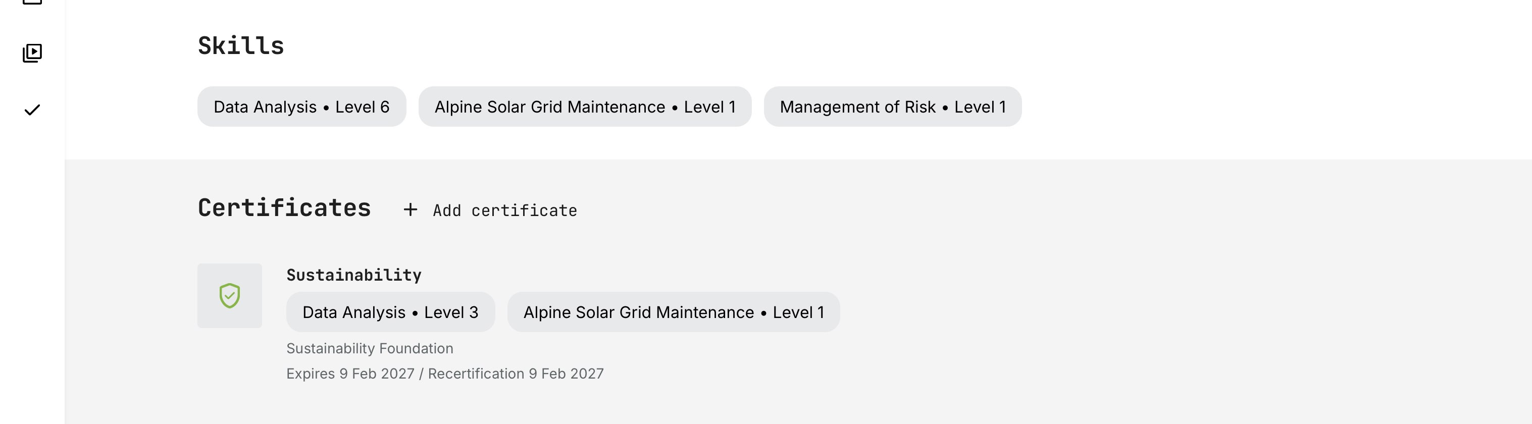 Profile view showing aggregated skills at the top and detailed certificate-level skill contributions below, including associated levels and expiry dates.